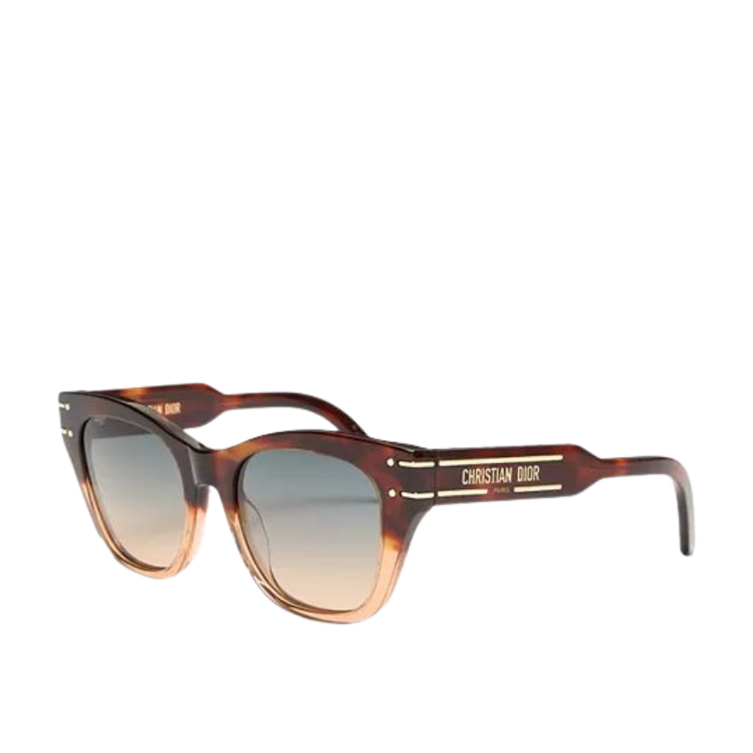 dior goggle sunglasses Dior