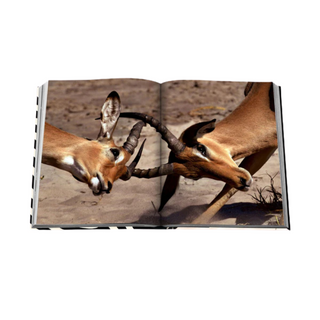 Assouline - African Adventures: The Greatest Safari on Earth