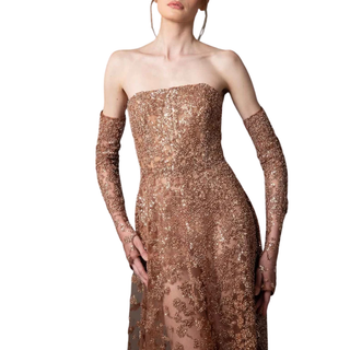 Embroidered tulle gown in brown