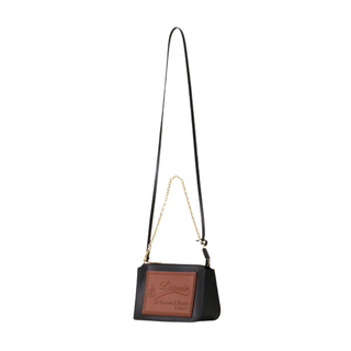 Lanvin - Compagnon Small Zipped Shoulder Bag in Leather