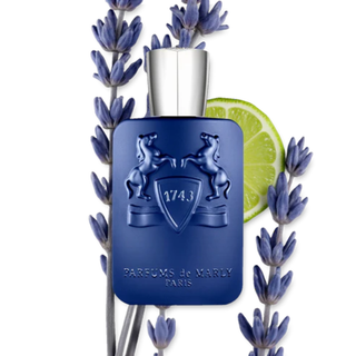 Parfums De Marly - Percival EDP